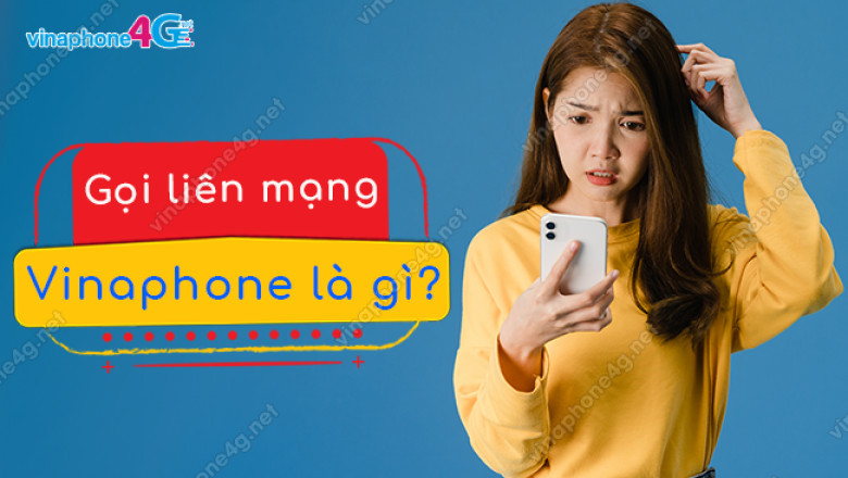 Goi lien mang vinaphone la gi