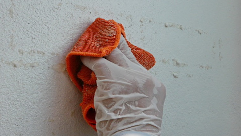 Odor Removal Services