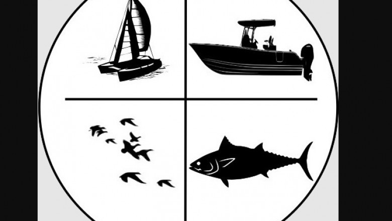 Leading Reasons For Hiring Fishing Charters