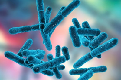 Significant Impact of COVID-19 on Probiotics | Food and Beverages Industry