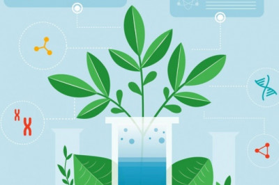 Biotechnology Industry Email List