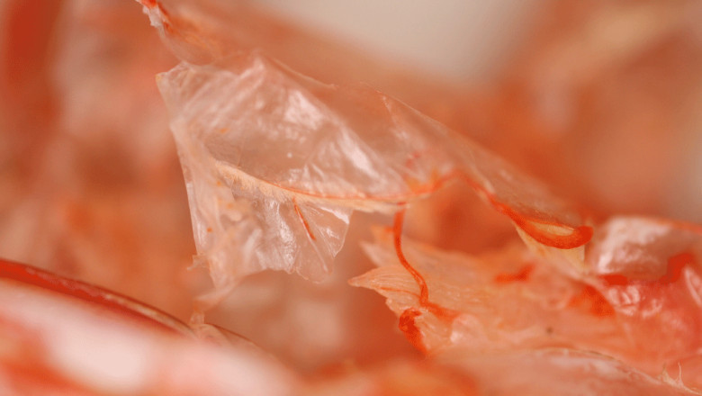 Chitosan Market Size, Share, Growth Dynamics, Revenue Outlook and Opportunities Forecast 2027