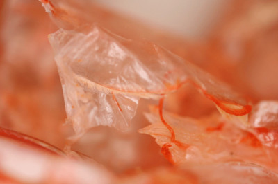 Chitosan Market Size, Share, Growth Dynamics, Revenue Outlook and Opportunities Forecast 2027