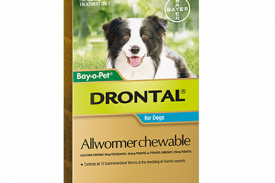 Drontal Wormers Chewable For Dogs Up To 10Kg (Aqua)