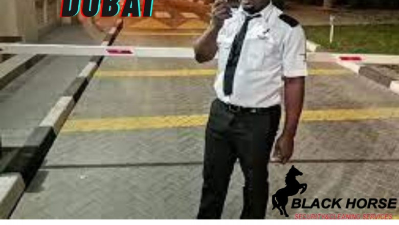 Lifeguard Company in Dubai Committed to Promise You Safety