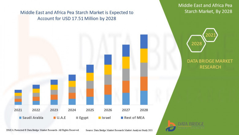Middle East and Africa Pea Starch Market Size, Revenue, Growth Factors, Development, Share and Forecast to 2028