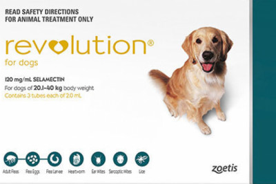 Revolution For Large Dogs 20.1 To 40 Kg Green 3 Pack