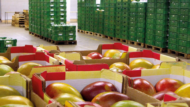 Smart Food Logistics Market Impact and Recovery Analysis | Research Informatic