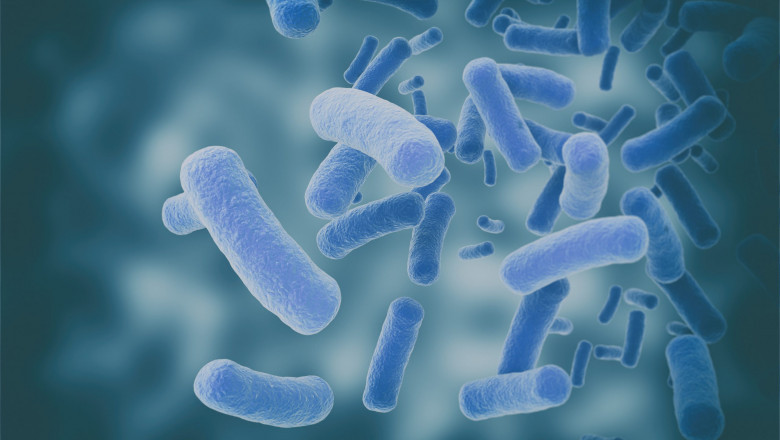 Bacillus Subtilis Market forecast to 2025: top companies, trends & growth factors and trend forecast to 2025