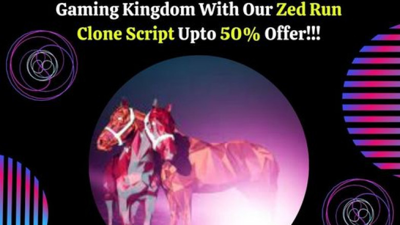 Create an NFT Digital Horse Racing Platform like Zed Run