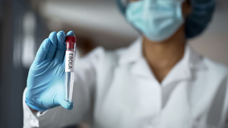 Ebola Vaccine Market Analysis, Size, Regional Outlook, Competitive Strategies and Forecasts to 2028
