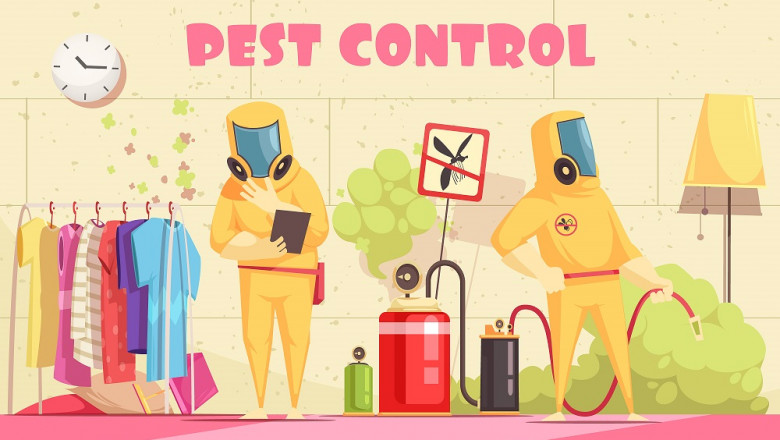How to Get Rid of Common Winter Pests?