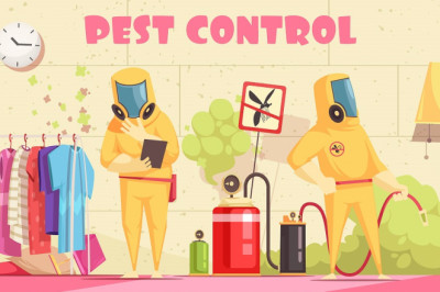 How to Get Rid of Common Winter Pests?