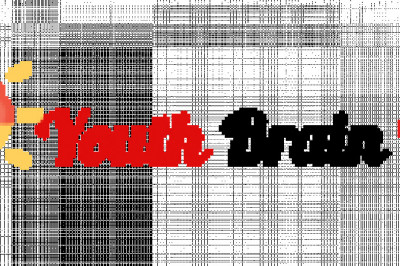 PPC Management Services in Lucknow