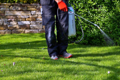 Universal Pest & Termite: One of the prominent provider of natural pest control