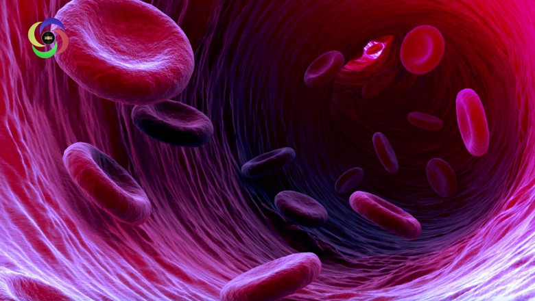 Brain Health Supplements - Blood Purification For Liver