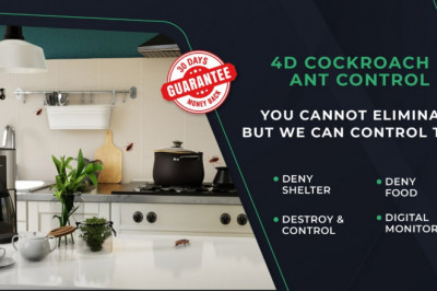 Cockroach Control Services near me - HiCare