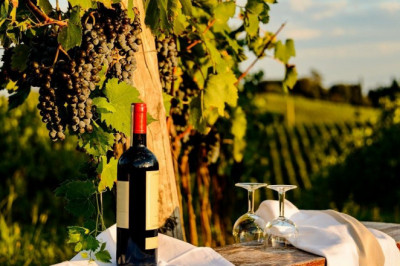 Discover Tuscany for a Great Getaway — Tuscany Vacation Packages