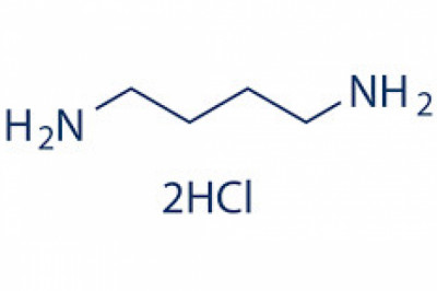 Global 1,4-Diaminobutane Market May Set New Growth Story | DSM, Koei Chemical