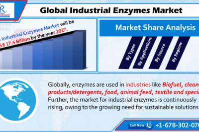 Global Industrial Enzymes Market to Grow with 7.34% CAGR from 2021–2017