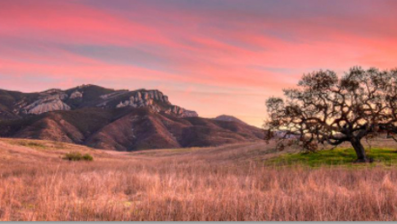 Why Do you Need to Have a Fine Art Photography?