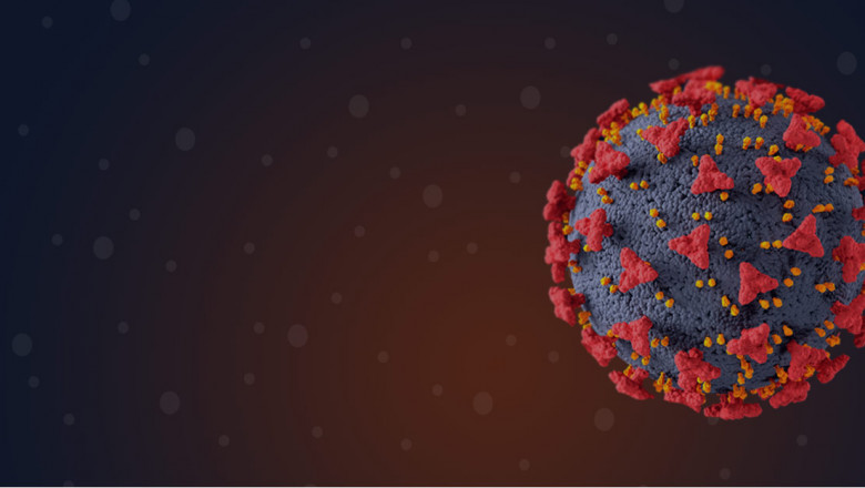 Bioservices Market Share, Industry Size, Leading Companies Outlook, Upcoming Challenges and Opportunities till 2028