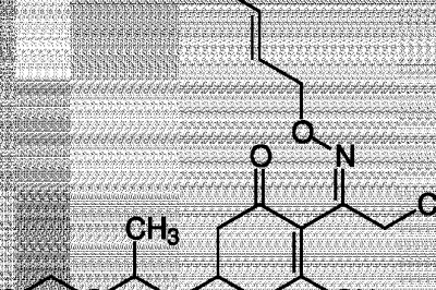 Clethodim Market  Trends, Statistical Analysis, Key Segments, Future Opportunity and Forecast 2026