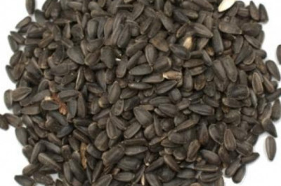 Flower Seeds Market Increasing Demand 2021 and Future Outlook 2026