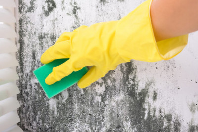How Do I Prevent Mold From Growing Inside My Property?