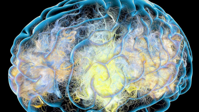 How To Find The Best Brain Health And Enhancement Supplements