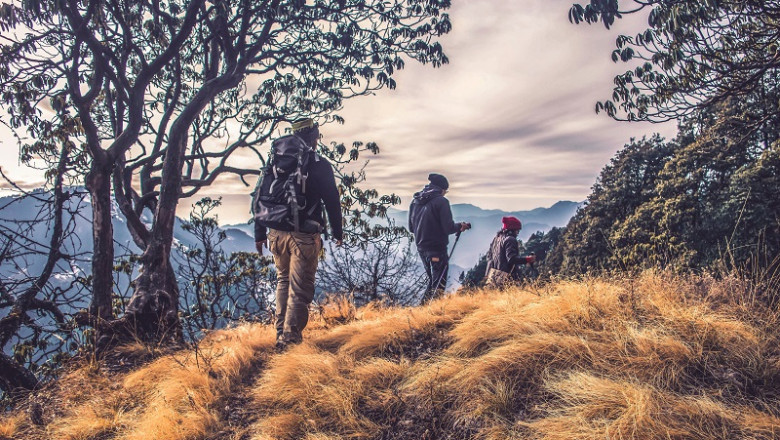 Kasauli Wilderness Camp || Camp In Kasauli
