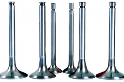 Automobile Engine Valve Market  2021 Technology Develop by Top Regional Companies and Global Outlook 2026