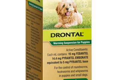Drontal Worming Suspension For Puppies 30ml | DiscountPetCare