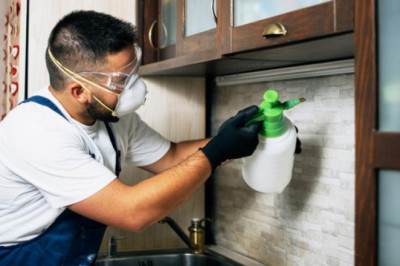 Hire Pest Control Chermside Professionals for effective services