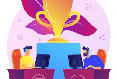 The Importance of the eSports Community