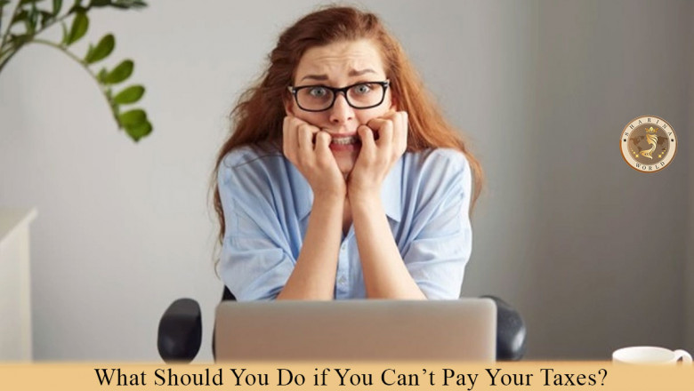 What Should You Do If You Can’t Pay Your Taxes? - CPA Clinics