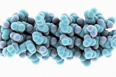 Antifreeze Proteins (AFP) Market 2027 - Unilever, Kaneka Corp.