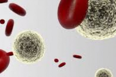Cell Isolation/Cell Separation Market Brief Analysis of Industry by Size, and Share Forecast to 2026