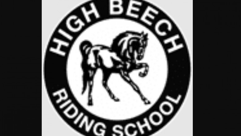 Horse Riding Training - Leading 5 Tips Prior to Beginning Horse Riding Lessons