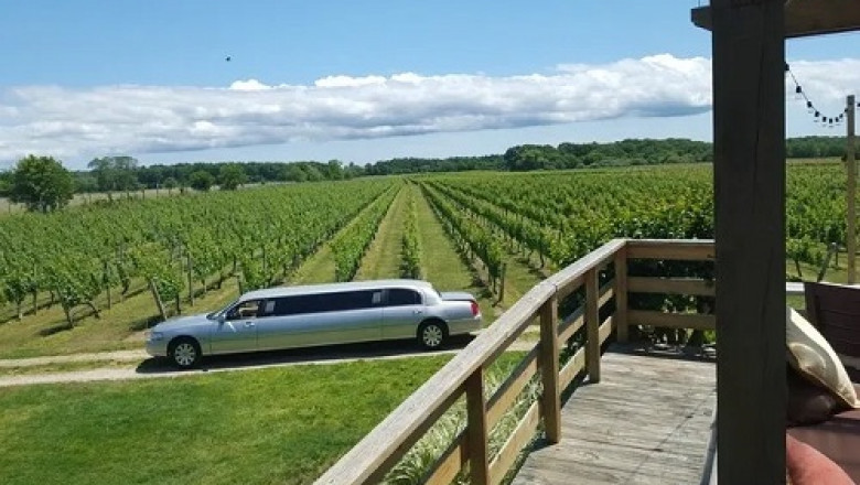 Long Island Wine Tour Packages