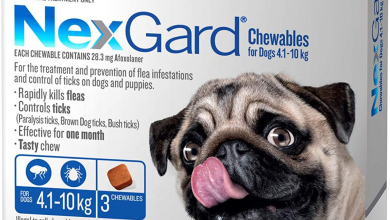Nexgard Flea & Tick Monthly Chew for Dog 4 to 10Kg