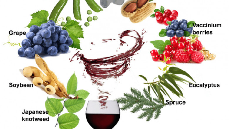 Resveratrol Utilization Scenario Market Estimated to Reach $147.7 Million by 2025