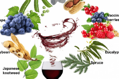 Resveratrol Utilization Scenario Market Estimated to Reach $147.7 Million by 2025
