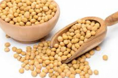 Soy Lecithin Market - Global Industry Insights, Trends, Outlook, and Opportunity Analysis, 2018-2026