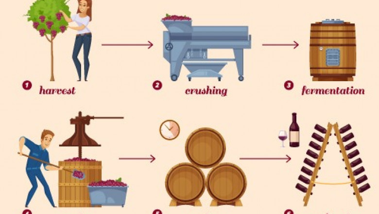 Steps in Wine Making Process |Food Consultants