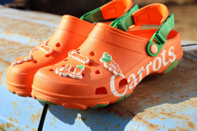 The Top 12 Crocs Apps