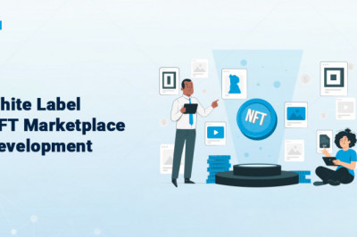 Business-oriented White Label NFT Marketplace development services