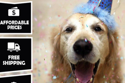 Get great New Year deals on all pet supplies at petloversau an eBay Store