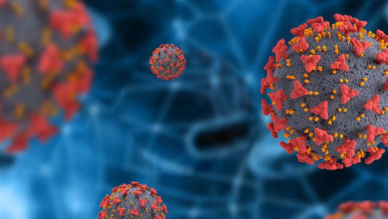 Knee Osteoarthritis Market 2021 Size, Share, Growth, Trends, Regional Analysis, Key Players, COVID-19 Impact Forecast By 2029