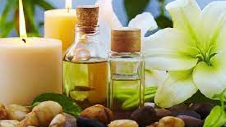 Tea Tree Oil Market Global Industry Size, Demands, Regions, Opportunities and Forecast to 2026